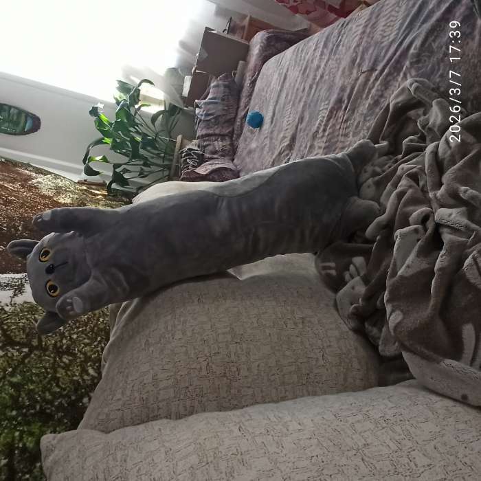 Фотография покупателя товара Мягкая игрушка без наполнителя «Кот», 70 см, цвет серый - Фото 3