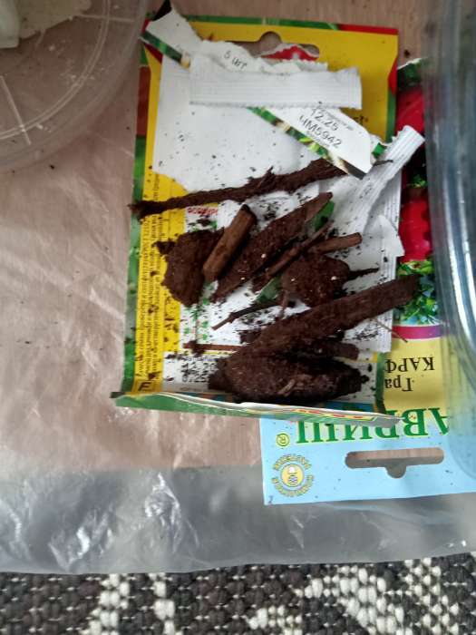 Фотография покупателя товара Грунт цветочный «Рецепты Дедушки Никиты», 20 л - Фото 15