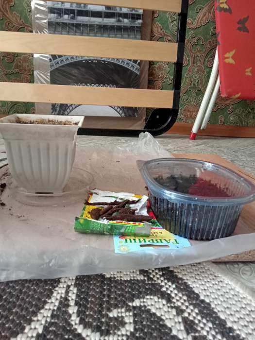 Фотография покупателя товара Грунт цветочный «Рецепты Дедушки Никиты», 20 л - Фото 13