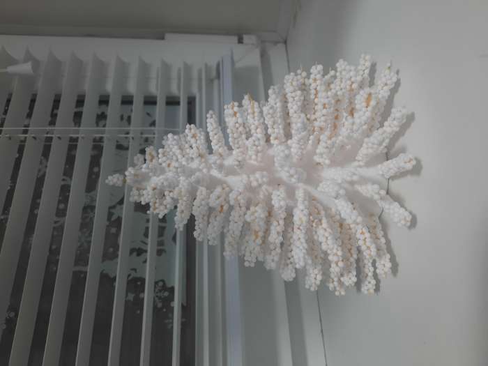 Фотография покупателя товара Конус из пенопласта для поделок и творчества, 1 шт., 15×7 см - Фото 2