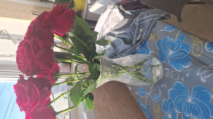 Фотография покупателя товара Ваза для цветов «Паутинка», изгиб, 25×12.5 см, стекло, прозрачная - Фото 1