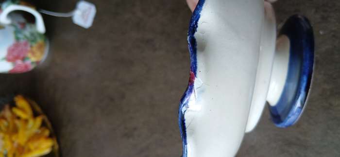 Фотография покупателя товара Конфетница узбекская Риштанская Керамика «Цветы», 15×5 см, синяя - Фото 2