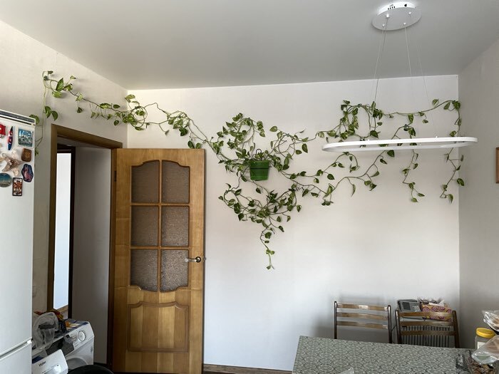 Фотография покупателя товара Подвес для кашпо настенный «Узор», d=16 см, чёрный - Фото 1