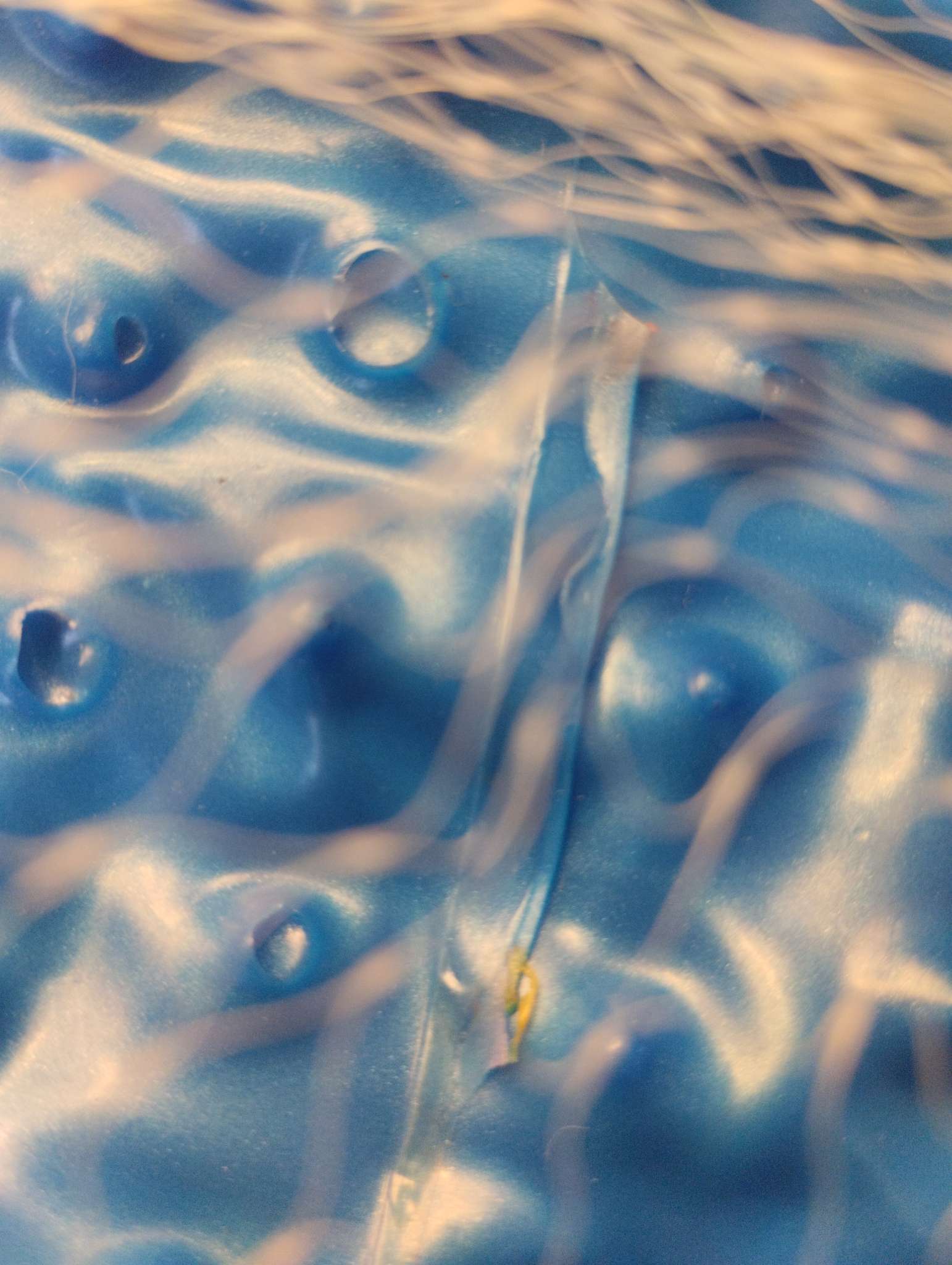 Фотография покупателя товара Мяч массажный, d=20 см, 50 г, МИКС - Фото 7