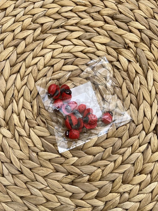 Фотография покупателя товара Набор магнитов «Божья коровка», 20 шт., красный - Фото 1