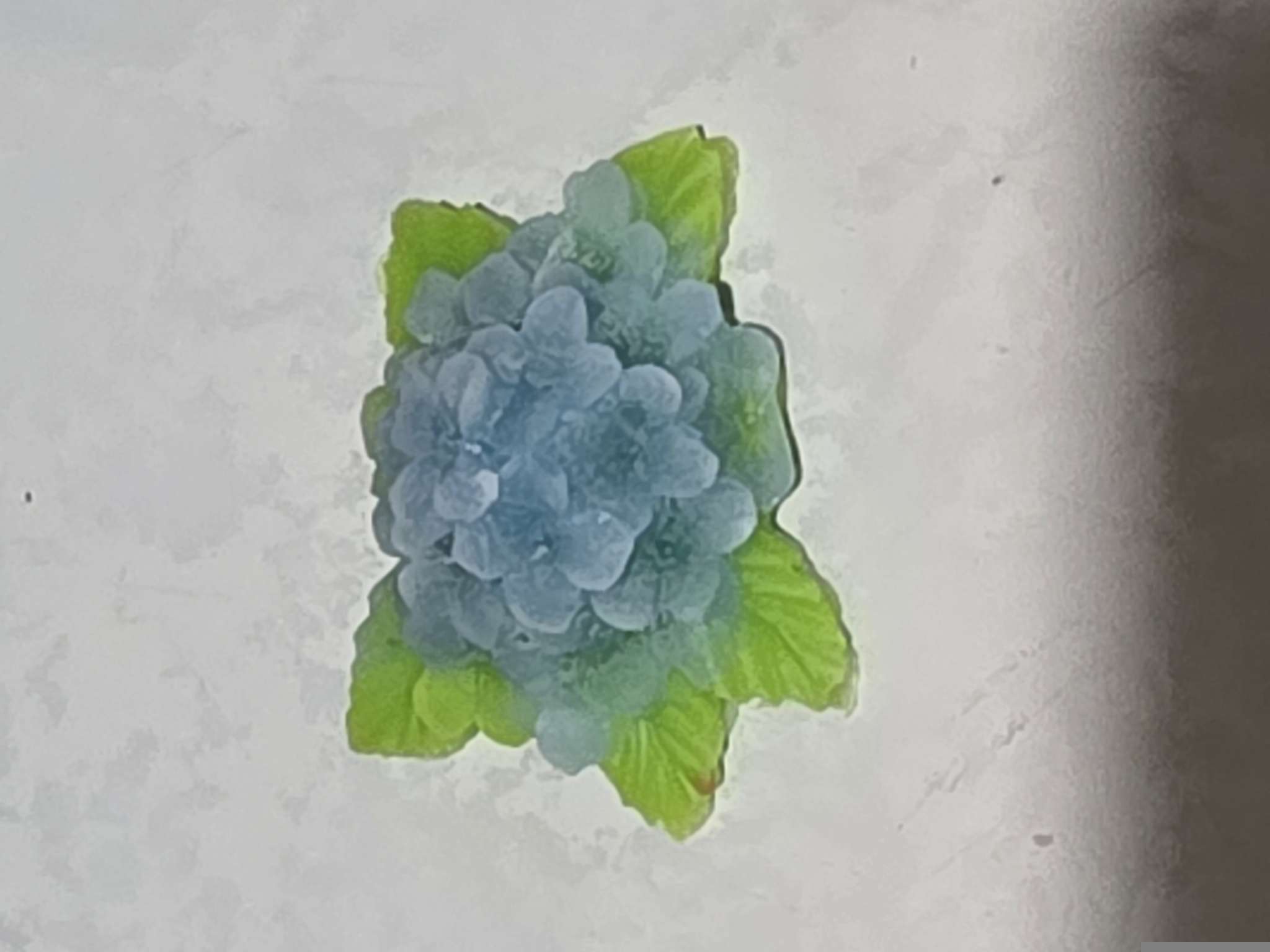 Фотография покупателя товара Молд силиконовый «Незабудки» 2.6×5.7×5.7 см - Фото 1