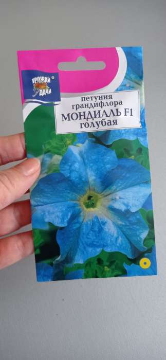 Фотография покупателя товара Семена цветов Петуния крупноцветковая «Мондиаль», голубая, F1, в ампуле, 0.01 г, «УРОЖАЙ УДАЧИ»