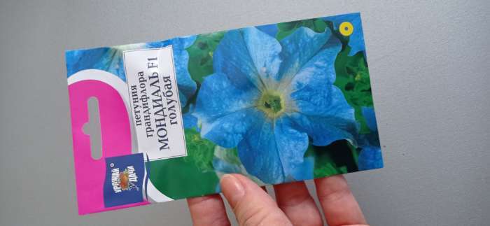 Фотография покупателя товара Семена цветов Петуния крупноцветковая «Мондиаль», голубая, F1, в ампуле, 0.01 г, «УРОЖАЙ УДАЧИ»