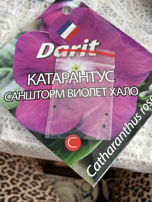 Фотография покупателя товара Семена цветов Катарантус Саншторм "Виолет Хало", О, 10 шт - Фото 1