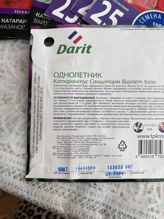 Фотография покупателя товара Семена цветов Катарантус Саншторм "Виолет Хало", О, 10 шт - Фото 2