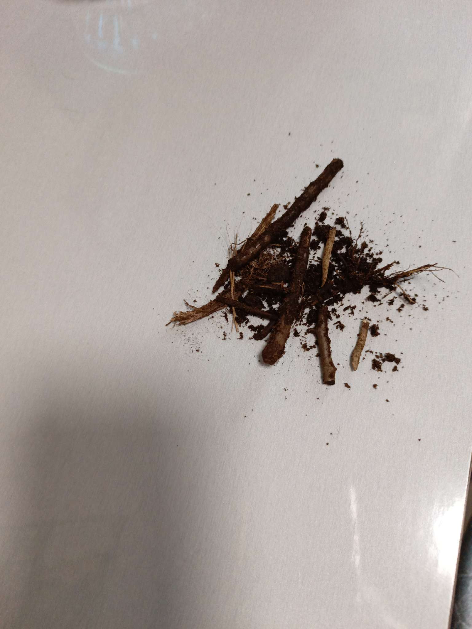 Фотография покупателя товара Грунт универсальный «Рецепты Дедушки Никиты» 20 л. - Фото 19