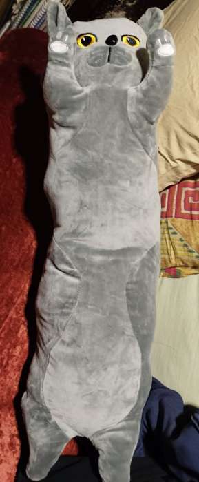 Фотография покупателя товара Мягкая игрушка без наполнителя «Кот», 70 см, цвет серый - Фото 8