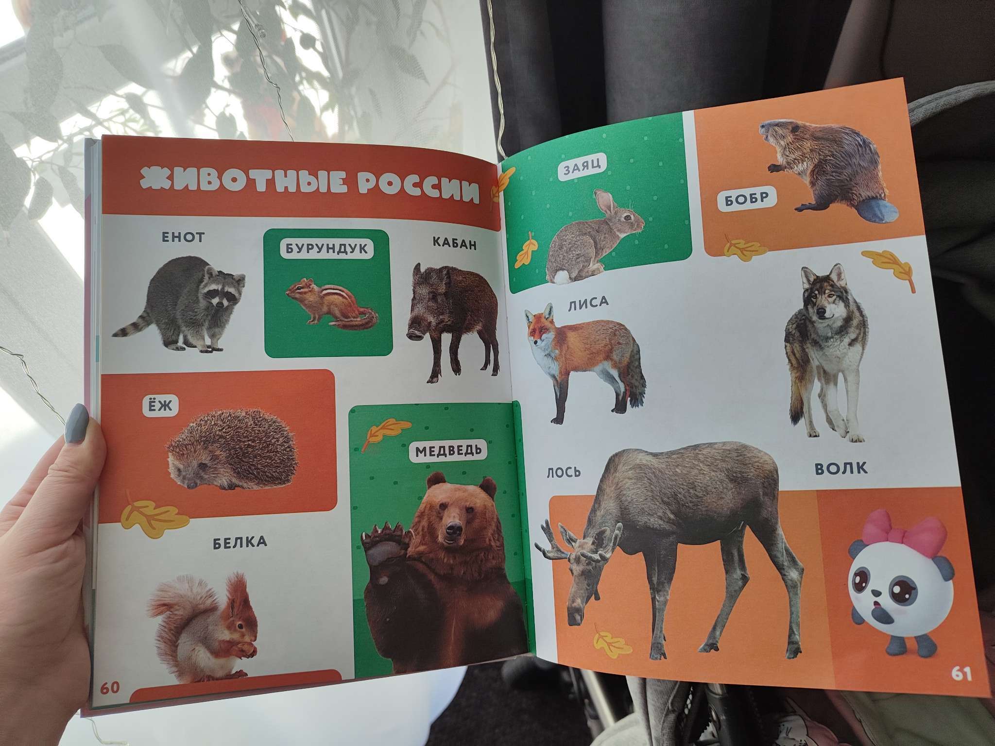 Фотография покупателя товара Первая энциклопедия малыша, твёрдый переплёт, 128 стр., Малышарики - Фото 3