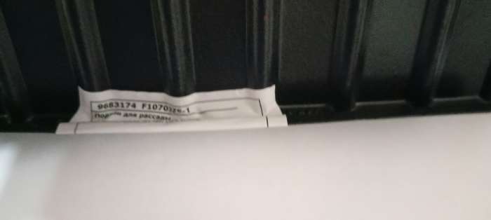 Фотография покупателя товара Поддон для рассады, 55×30×5.6 см, пластик, чёрный, дно МИКС, Greengo - Фото 55