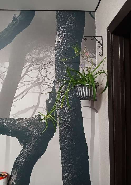 Фотография покупателя товара Кашпо для цветов подвесное с дренажной сеткой «Веста», 2 л, пластик, коричневое - Фото 1