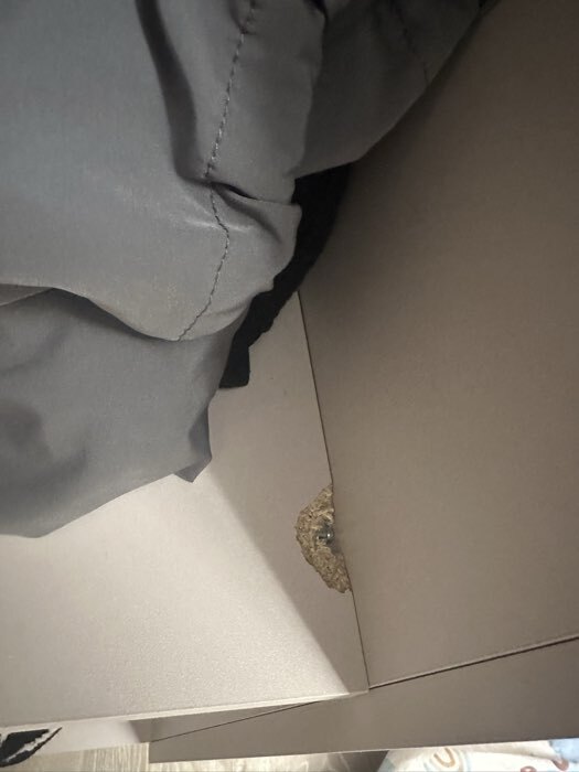 Фотография покупателя товара Шкаф прямой четырёхстворчатый «Бруно», 1600×505×2216 мм, цвет кашемир - Фото 128