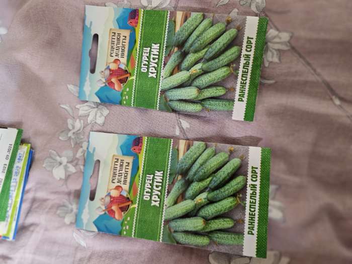Фотография покупателя товара Семена Огурец «Хрустик», 0.5 г, «Рецепты дедушки Никиты» - Фото 4