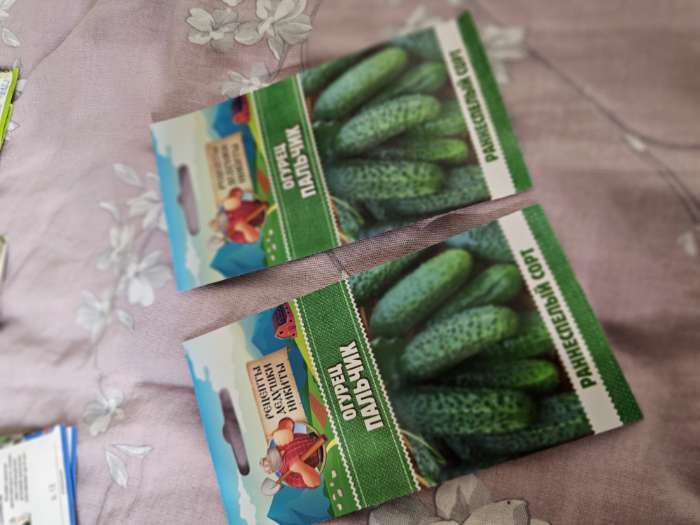 Фотография покупателя товара Семена Огурец «Пальчик», 0.5 г, «Рецепты дедушки Никиты» - Фото 4
