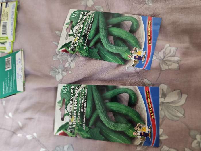 Фотография покупателя товара Семена огурец «Китайский Змей», среднепоздний, пчелоопыляемый, 10 шт. - Фото 1