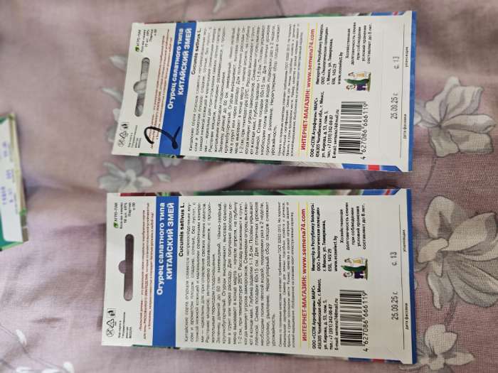 Фотография покупателя товара Семена огурец «Китайский Змей», среднепоздний, пчелоопыляемый, 10 шт. - Фото 2