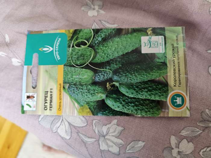 Фотография покупателя товара Семена огурца «Герман», F1, 8 шт., «Евросемена» - Фото 2