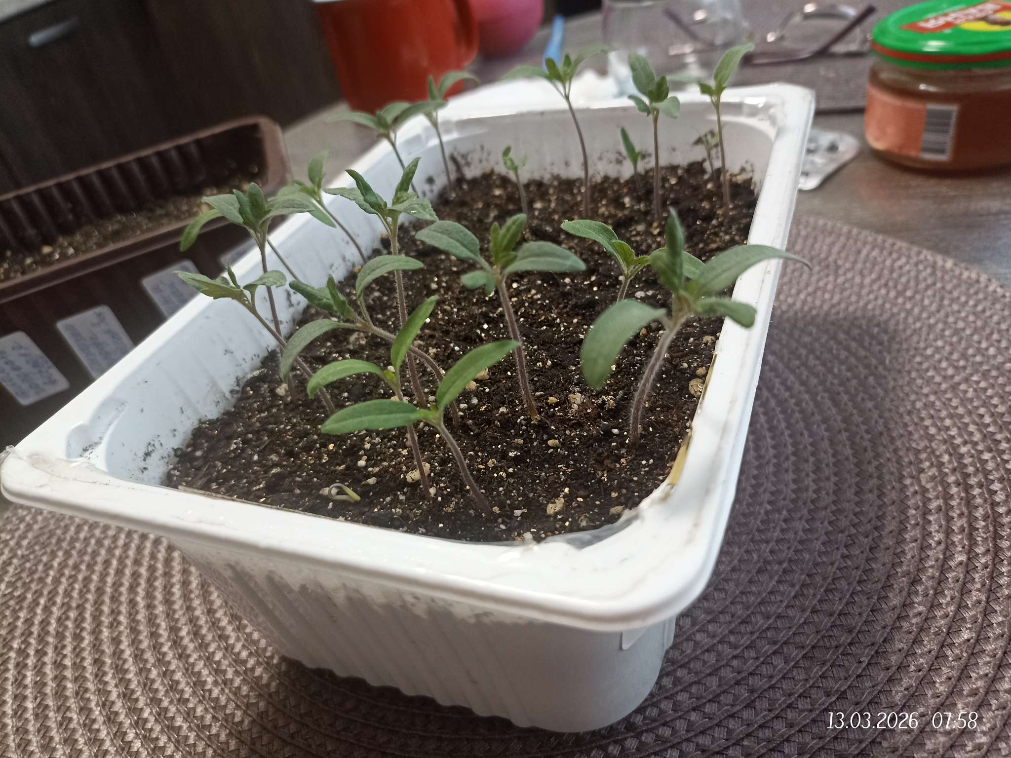 Фотография покупателя товара Семена Томат Фляшен Оранжевый 10шт.  12.29 г. - Фото 2