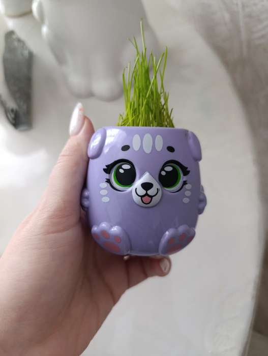 Фотография покупателя товара Набор для опытов, для детей «Котики. Выращиваем травку», растение в жёлтом горшочке - Фото 124