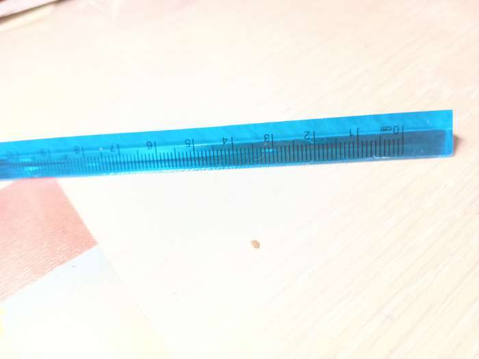 Фотография покупателя товара Линейка пластиковая, 15 см, треугольная, МИКС - Фото 3