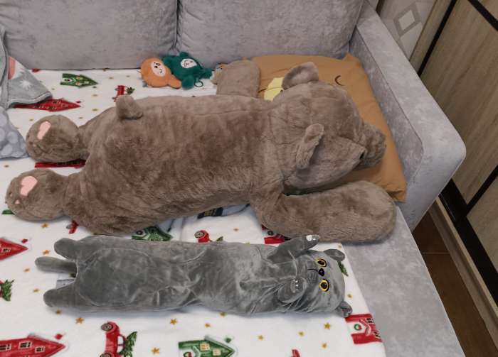 Фотография покупателя товара Мягкая игрушка без наполнителя «Кот», 70 см, цвет серый - Фото 1