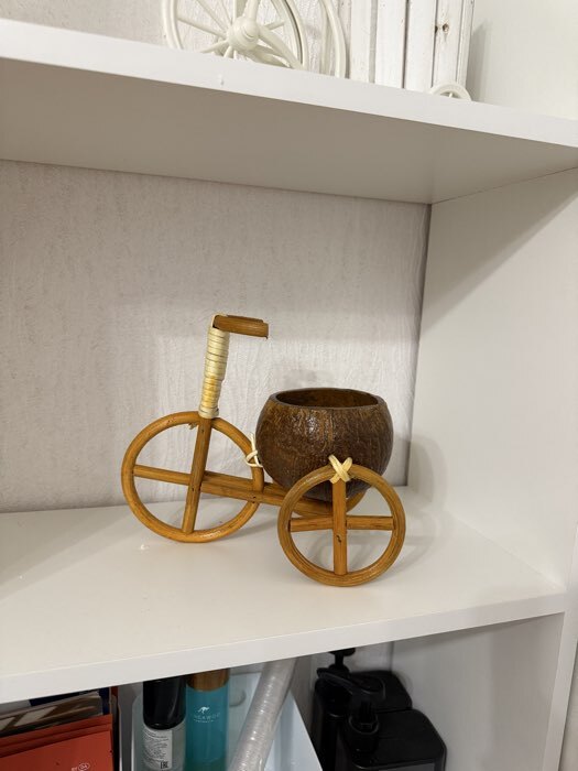 Фотография покупателя товара Декоративное кашпо - кокос «Велосипед резной», 20×12×17 см, деревянное - Фото 1