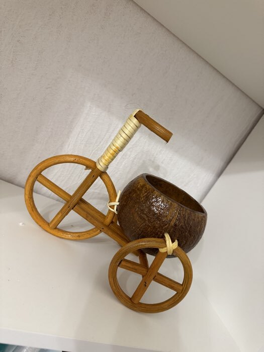 Фотография покупателя товара Декоративное кашпо - кокос «Велосипед резной», 20×12×17 см, деревянное - Фото 2