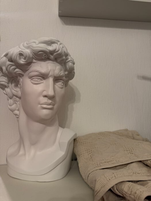 Фотография покупателя товара Бюст «Давид», фигурка гипс, белый, 24×45 см - Фото 1