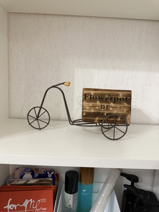 Фотография покупателя товара Декоративное кашпо для цветов «Велосипед», 23×12×11 см, дерево, пластик, белое, Greengo - Фото 1