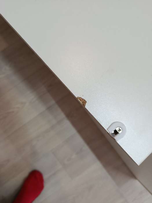 Фотография покупателя товара Шкаф прямой четырёхстворчатый «Бруно», 1600×505×2216 мм, цвет кашемир - Фото 92