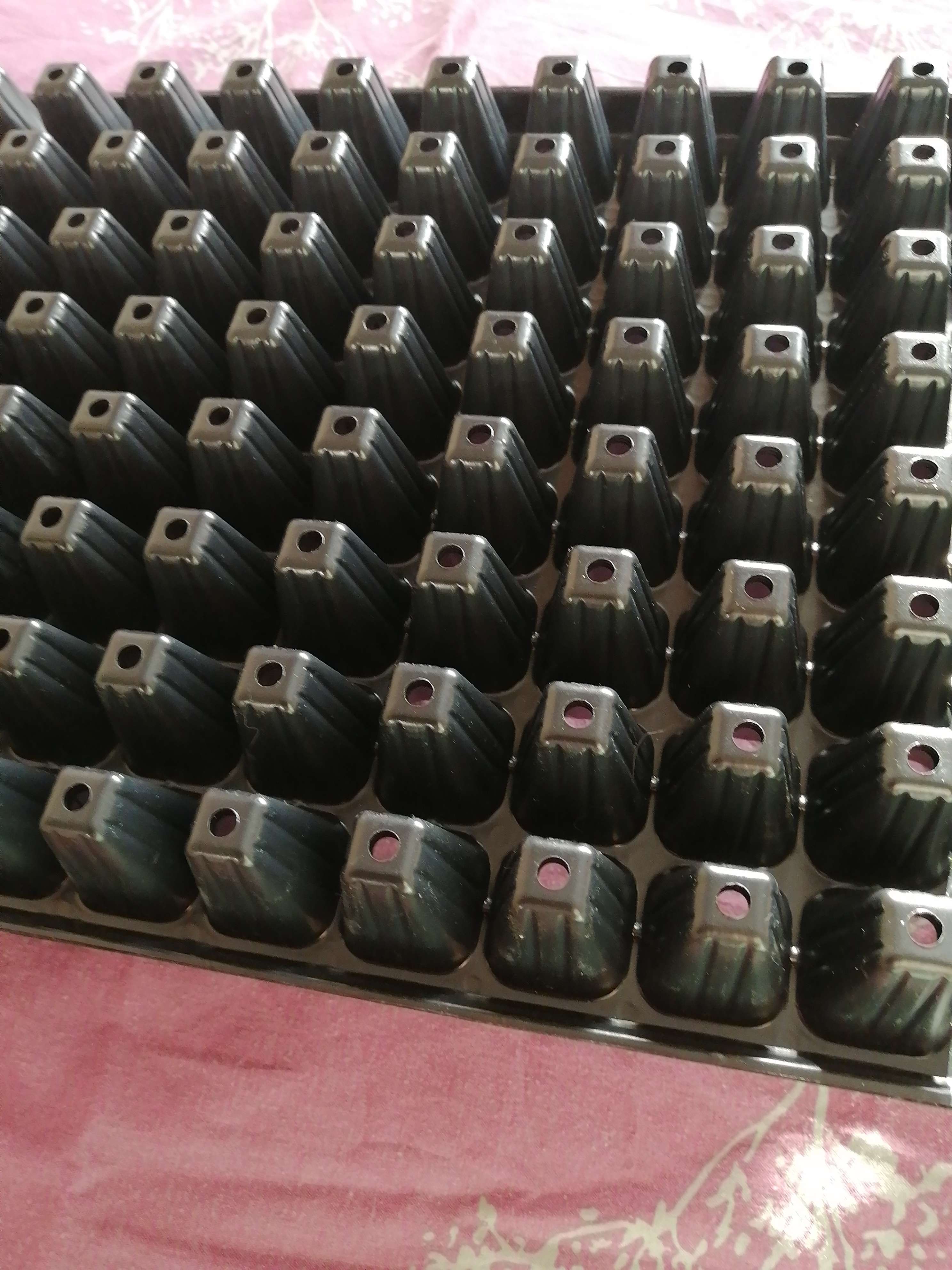 Фотография покупателя товара Кассета для выращивания рассады Greengo на 128 ячеек, по 15 мл, пластиковая, чёрная, 54 × 28 × 5 см - Фото 4