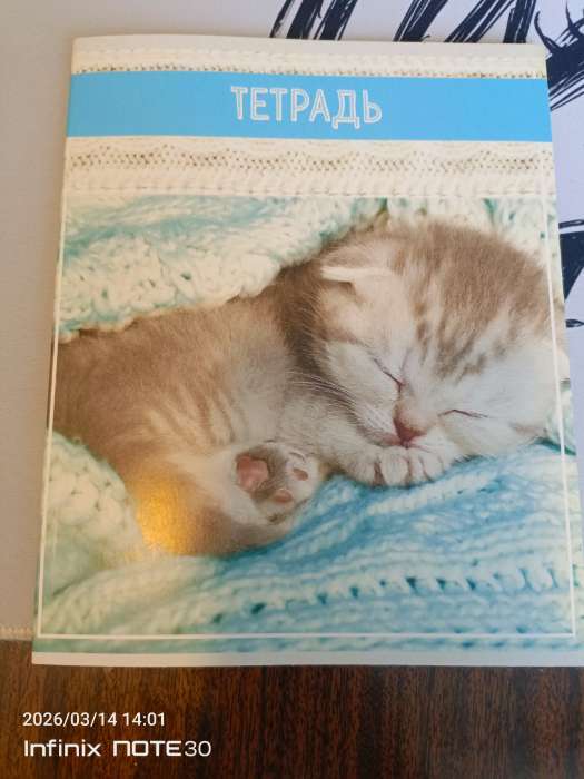 Фотография покупателя товара Тетрадь 36 листов в клетку, Calligrata «Кошки», МИКС - Фото 2