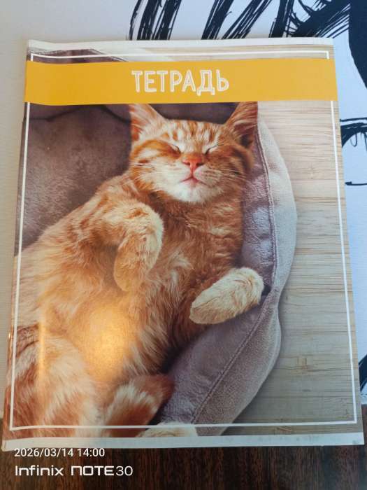 Фотография покупателя товара Тетрадь 36 листов в клетку, Calligrata «Кошки», МИКС - Фото 4