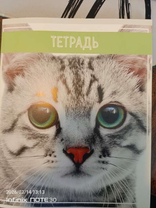 Фотография покупателя товара Тетрадь 36 листов в клетку, Calligrata «Кошки», МИКС - Фото 6