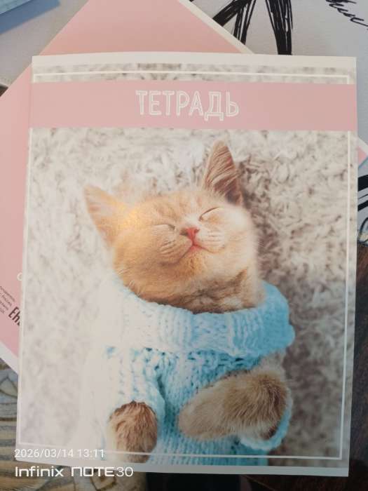 Фотография покупателя товара Тетрадь 36 листов в клетку, Calligrata «Кошки», МИКС - Фото 7