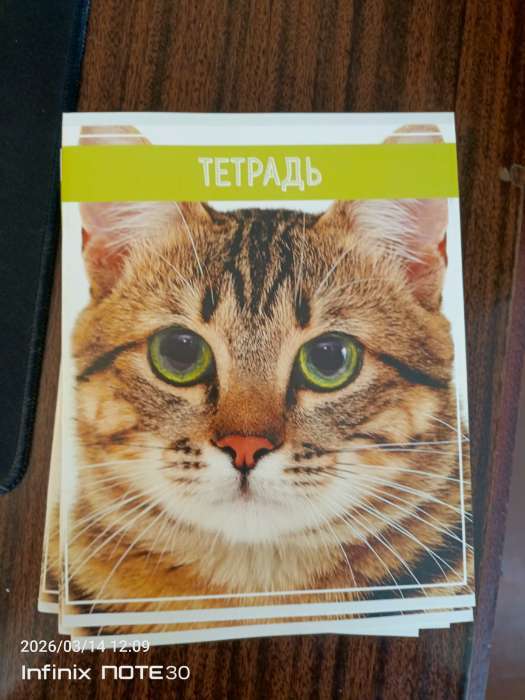 Фотография покупателя товара Тетрадь 36 листов в клетку, Calligrata «Кошки», МИКС - Фото 10