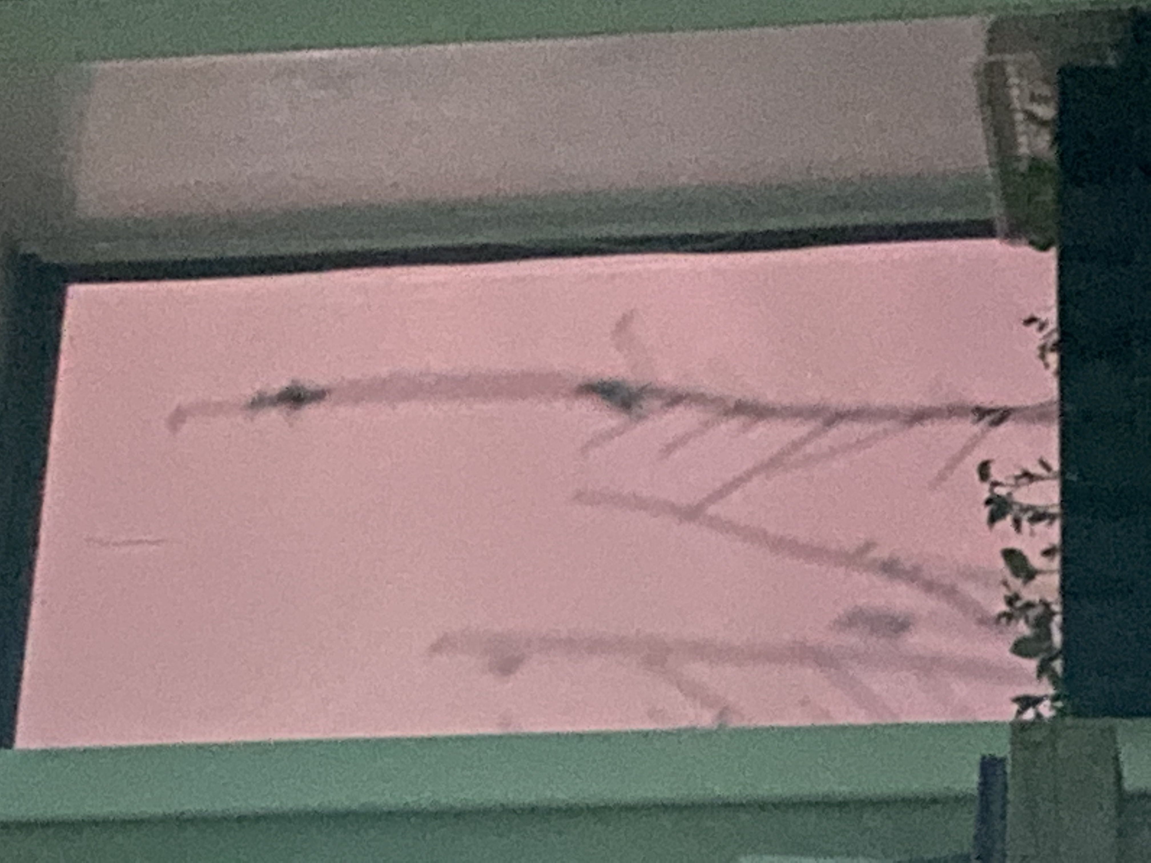 Фотография покупателя товара Рулонная штора Decofest «Лаванда», 80х160 см, цвет фиолетовый - Фото 1