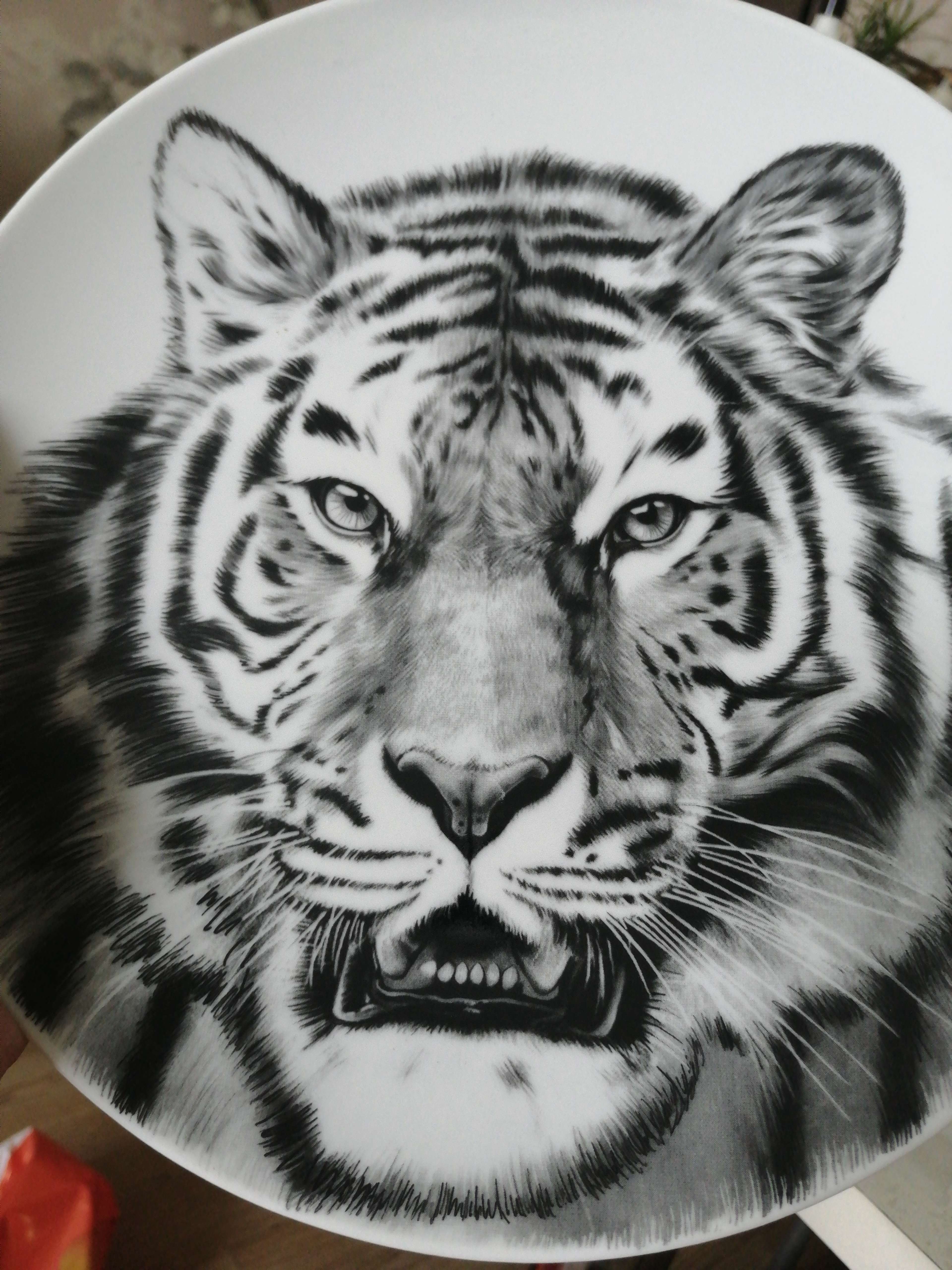 Фотография покупателя товара Тарелка фарфоровая «Тигр», d=24 см, белая