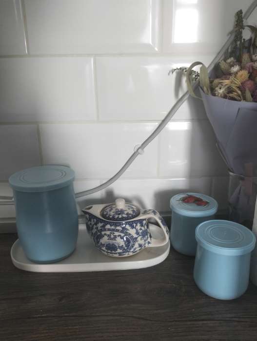 Фотография покупателя товара УЦЕНКА Чайник заварочный «Восточная мудрость» 200 мл, 14×9.5×8 см, синяя - Фото 1