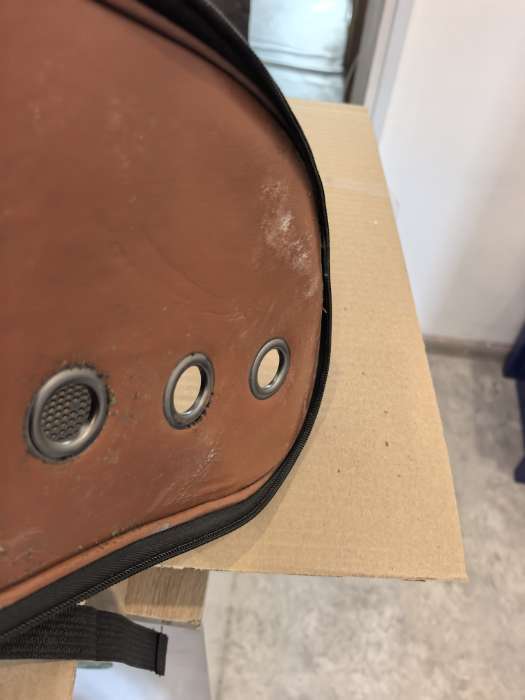 Фотография покупателя товара Рюкзак для переноски кошек «Гламуррр», 32×25×42 см, с окном для обзора, голубой - Фото 2