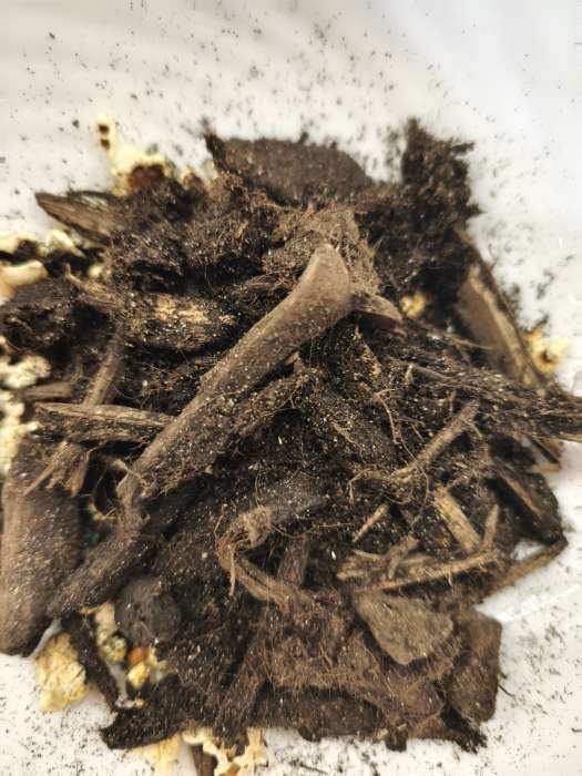 Фотография покупателя товара Грунт универсальный «Щедрая земля», 60 л - Фото 2