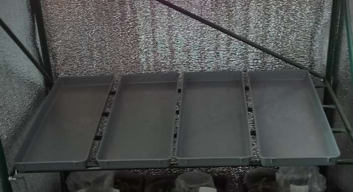 Фотография покупателя товара Поддон для рассады, 37×13.5×2.5 см, пластик, серый - Фото 1