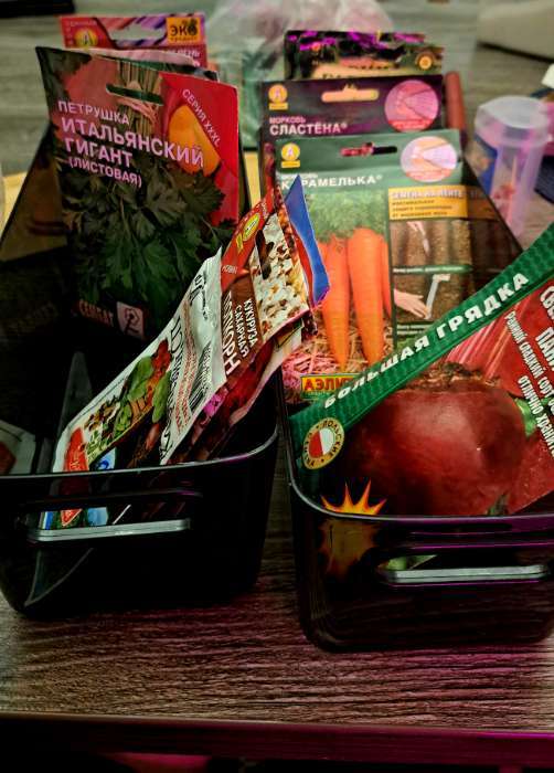 Фотография покупателя товара УЦЕНКА Контейнер для хранения LaDо́m «Лаконичность», 31.5×22×15 см, тёмно - серый - Фото 1