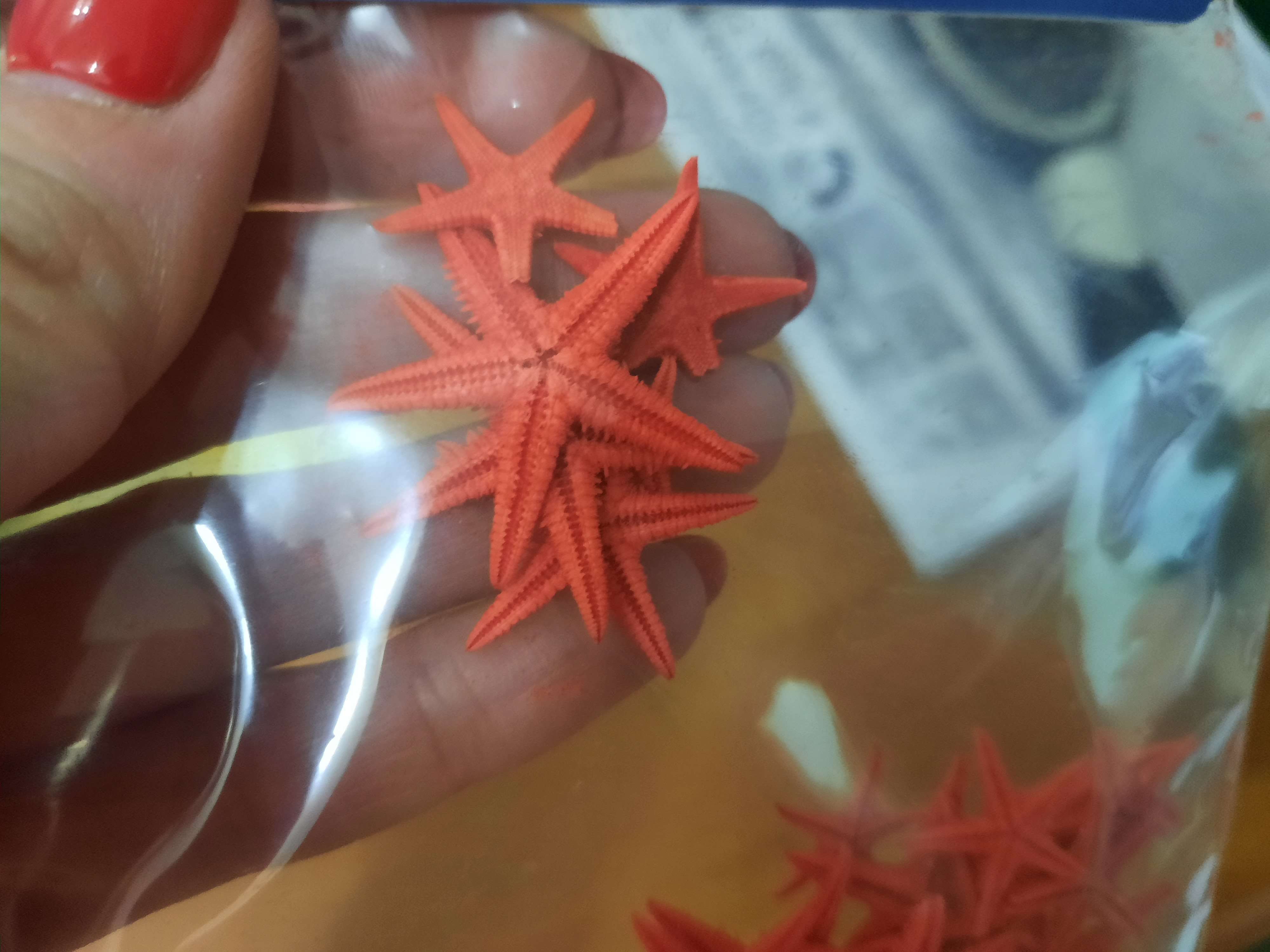 Фотография покупателя товара Набор натуральных морских звезд, 1,5-2 см, 20 шт, красный - Фото 4