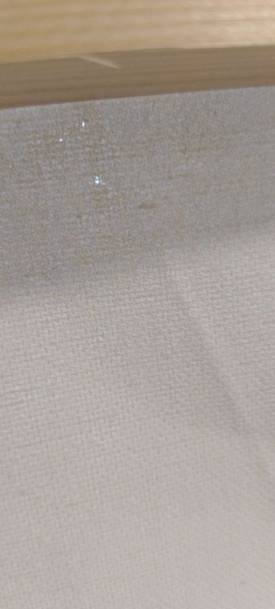 Фотография покупателя товара Холст в рулоне, хлопок 100%, 1.6×3 м, акриловый грунт, мелкое зерно, 280 г/м² - Фото 3