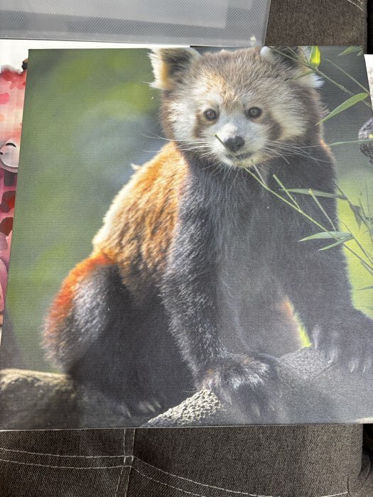 Фотография покупателя товара Фотоальбом магнитный на 20 листов «Красная панда», кожзам, в коробке, 2.6×32×33.5 см - Фото 5